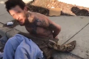 NBA直播_高清免费观看_2026赛季NBA比赛回放集锦